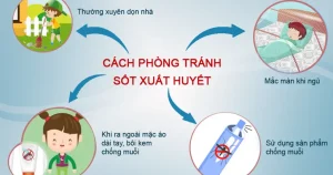 Sốt Xuất Huyết