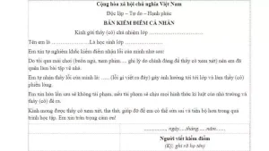 Viết Bản Kiểm Điểm