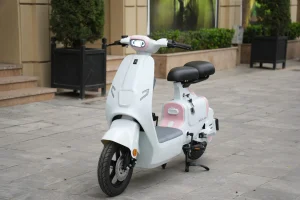 Xe Đạp Điện - Giải Pháp Di Chuyển Hiện Đại Và Tiết Kiệm Số 1