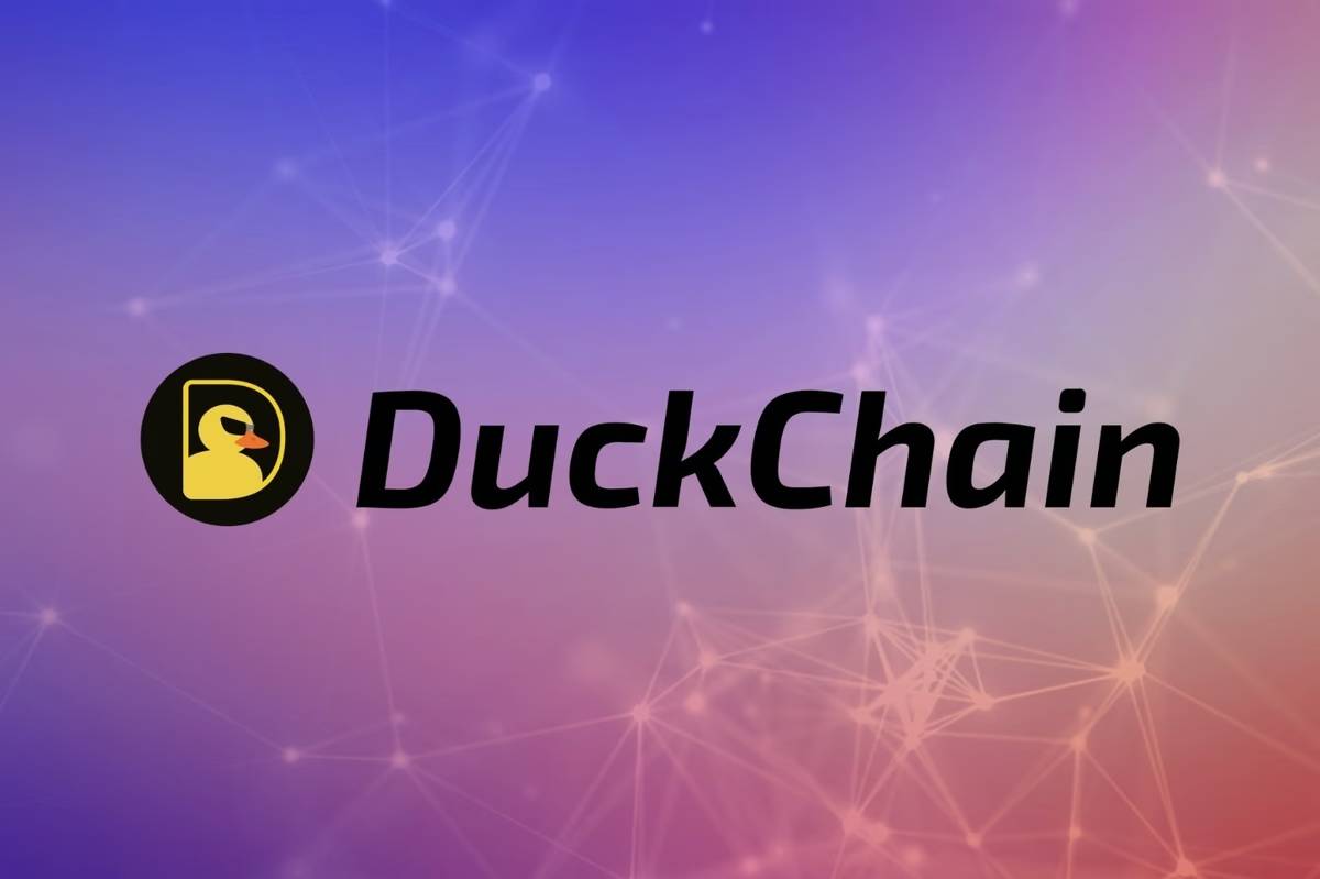 Duckchain là một giải pháp Layer 2 tiên phong được xây dựng trên hệ sinh thái TON