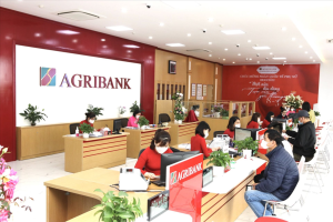 Agribank: Ngân Hàng Nông Nghiệp Và Phát Triển Nông Thôn Việt Nam - Đồng Hành Cùng Mọi Nhà