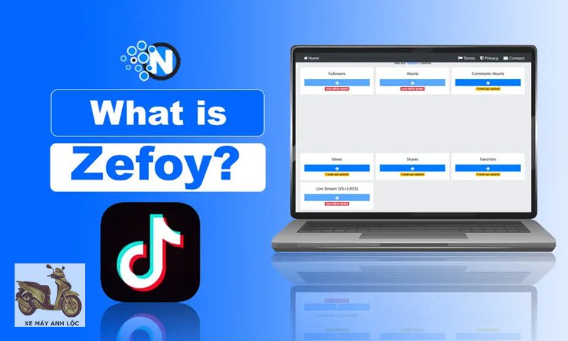 Review zefoy - Hạn chế và rủi ro Review zefoy - Hạn chế và rủi ro