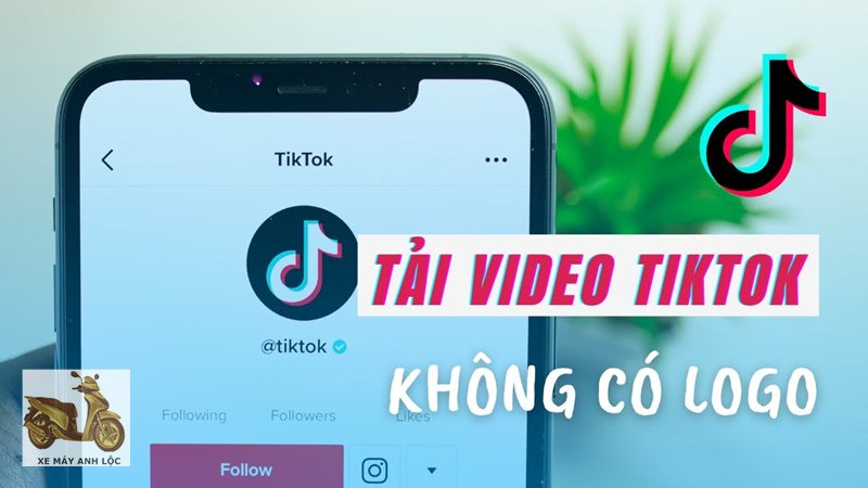 tải video tiktok không logo - Ứng dụng trên Android/iOS tải video tiktok không logo - Ứng dụng trên Android/iOS