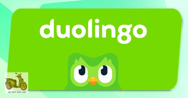 duolingo là gì - Cơ chế nhắc lại và ôn tập có chủ đích duolingo là gì - Cơ chế nhắc lại và ôn tập có chủ đích