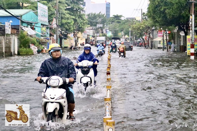 thời tiết thành phố Hồ Chí Minh - Giai đoạn đầu năm: khô ráo, trời quang thời tiết thành phố Hồ Chí Minh - Giai đoạn đầu năm: khô ráo, trời quang