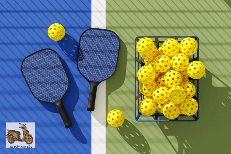 pickleball là gì - Nguồn gốc hình thành pickleball là gì - Nguồn gốc hình thành
