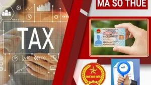 Bạn có thể tra cứu mã số thuế cá nhân của người phụ thuộc