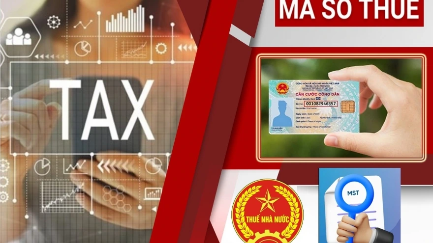 Bạn có thể tra cứu mã số thuế cá nhân của người phụ thuộc