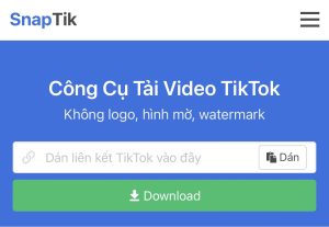 Snaptiktok: Hướng Dẫn Tải Video TikTok Không Logo Nhanh Chóng và Miễn Phí