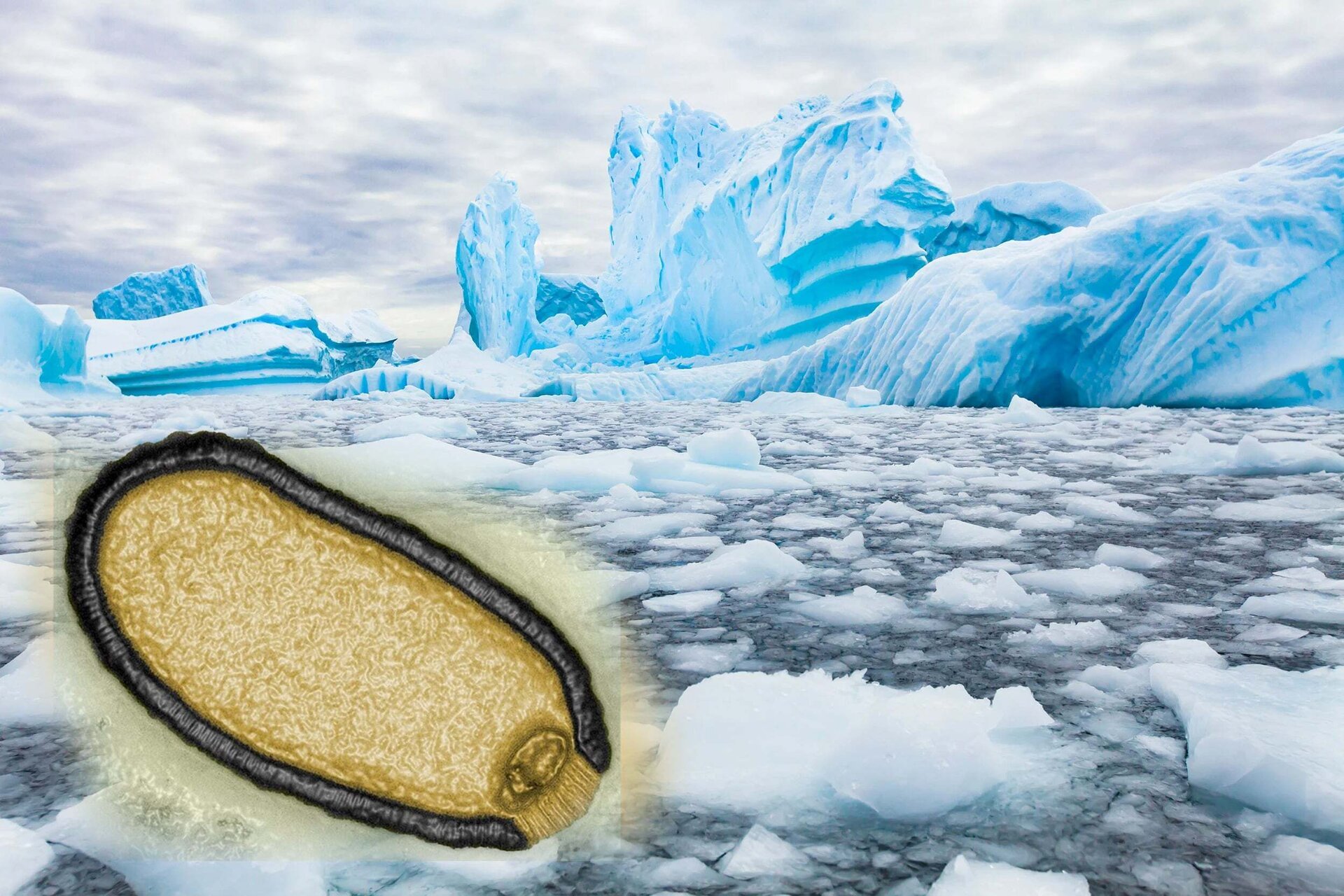 Băng tan và mực nước biển dâng