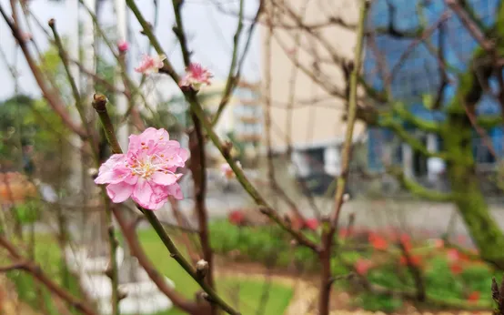 Ngày đầu năm mới - Ý nghĩa của thời khắc chuyển giao Ngày đầu năm mới - Ý nghĩa của thời khắc chuyển giao