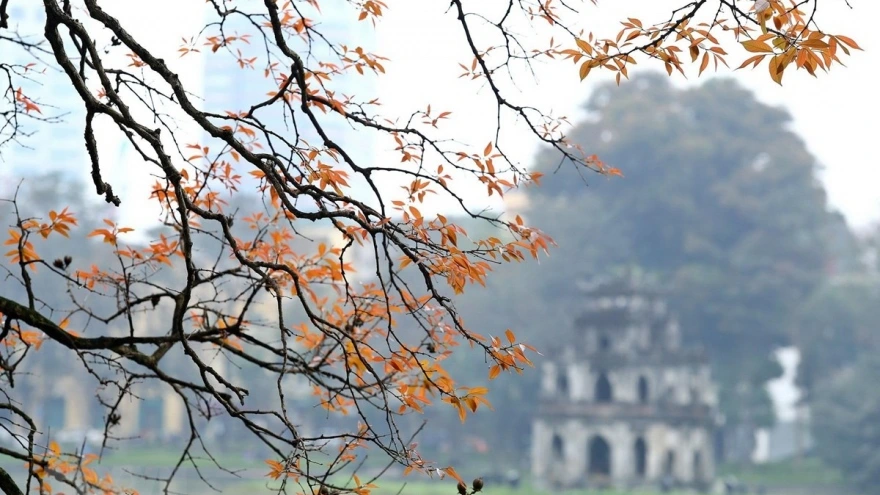 Ngày đầu năm mới - Mâm cơm sum vầy gia đình Ngày đầu năm mới - Mâm cơm sum vầy gia đình
