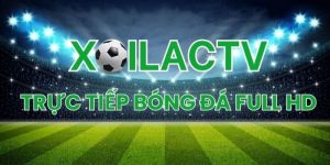 Tin tức bóng đá 247 tại XoilacTV – Cập nhật nóng hổi từng phút