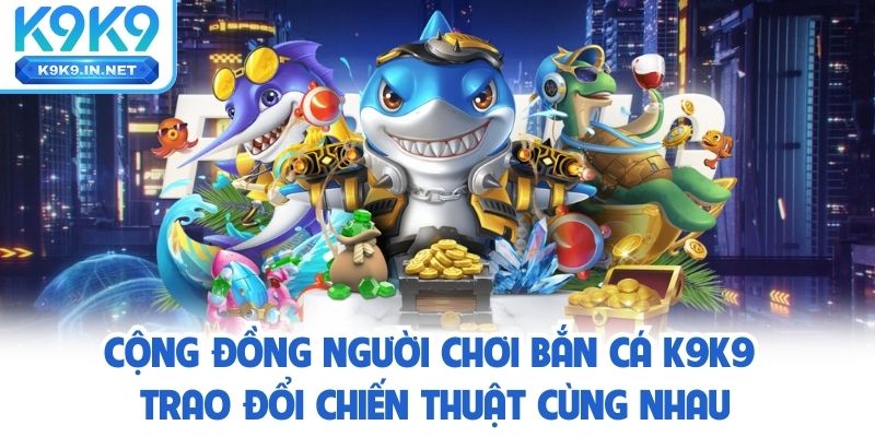Cộng đồng người chơi bắn cá K9K9 trao đổi chiến thuật cùng nhau