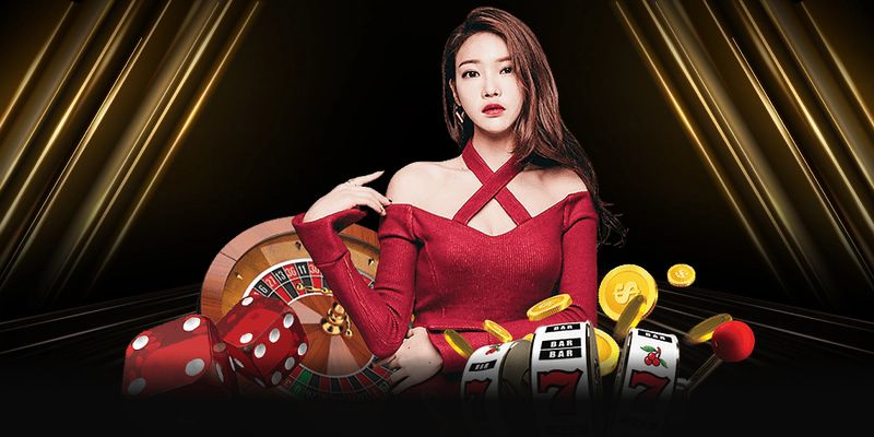 Dragon tiger – trận chiến kịch tính giữa hai thế lực