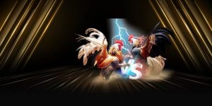 Đá gà hitclub– hướng dẫn cách tham gia cá cược chi tiết