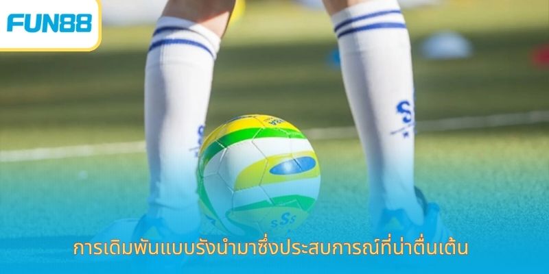 การเดิมพันแบบรังนำมาซึ่งประสบการณ์ที่น่าตื่นเต้น
