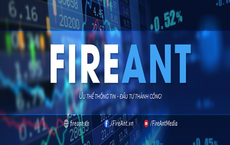 Fireant - Đối tượng phù hợp Fireant - Đối tượng phù hợp