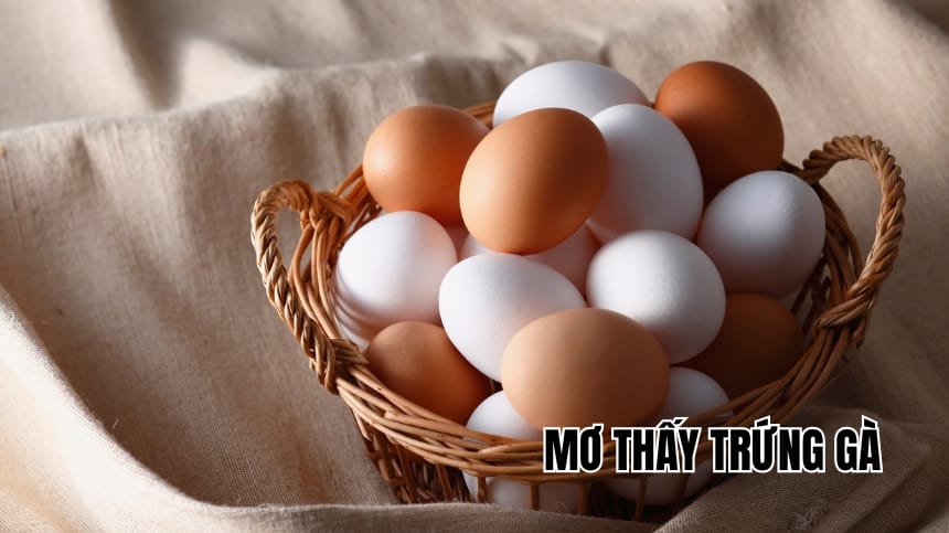 Mơ thấy trứng gà nở thành gà con