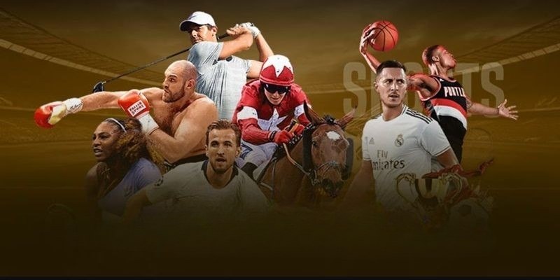 Kinh nghiệm theo dõi kết quả bóng đá hiệu quả