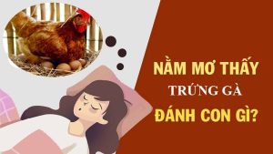 Mơ thấy trứng gà - Lộc trời sắp nở, con số vàng ấp ủ