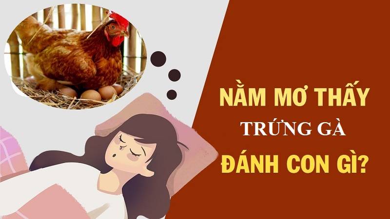 Mơ thấy trứng gà - Lộc trời sắp nở, con số vàng ấp ủ
