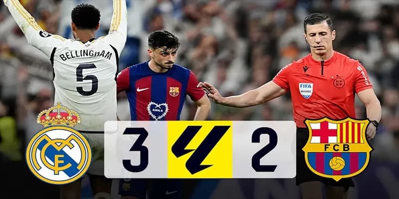 Các giải đấu được cập nhật trên hệ thống