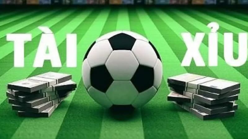 Khám phá ngay những loại kèo tài xỉu phổ biến nhất 2026