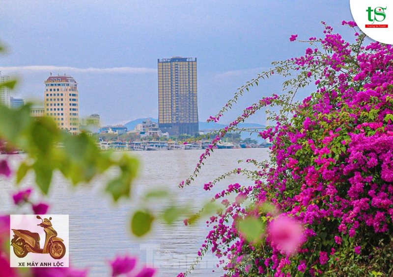 Thời tiết Đà Nẵng - Nhiệt độ và khả năng mưa dông Thời tiết Đà Nẵng - Nhiệt độ và khả năng mưa dông