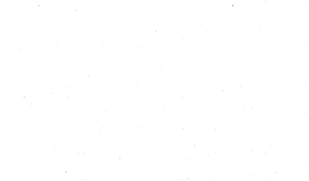 Ảnh trắng - 2