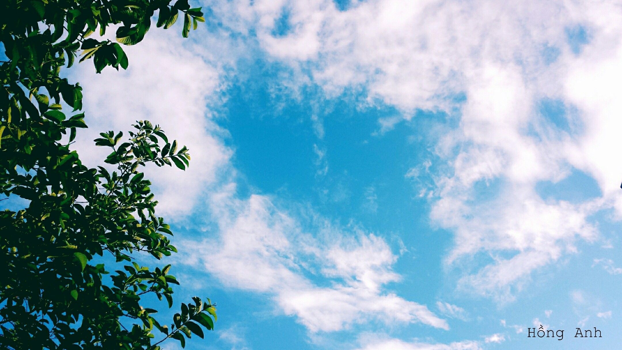 Ảnh bầu trời - 13