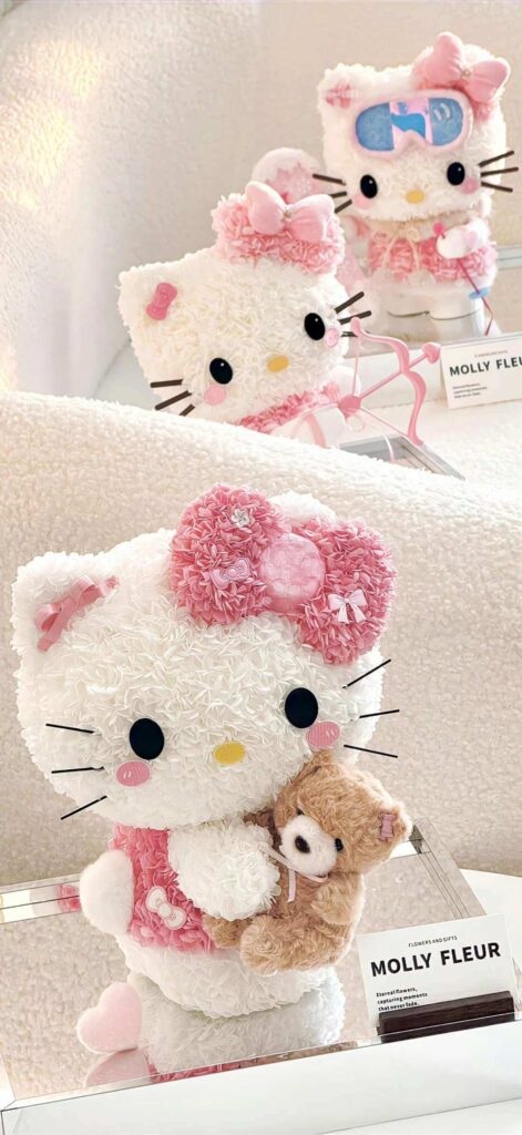 Ảnh Hello Kitty - 13