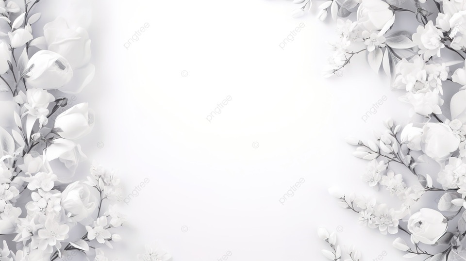 Ảnh trắng - 15