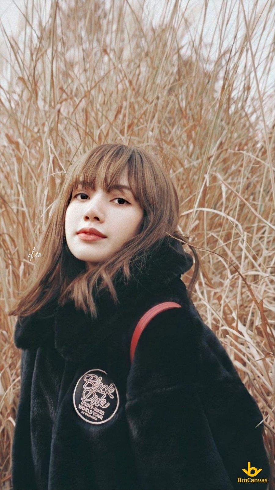 Ảnh Lisa - 30