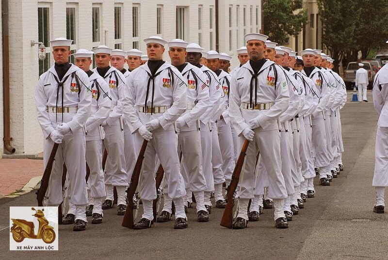 Navy Team - Các nhóm truyện tranh phổ biến với độc giả Việt Navy Team - Các nhóm truyện tranh phổ biến với độc giả Việt