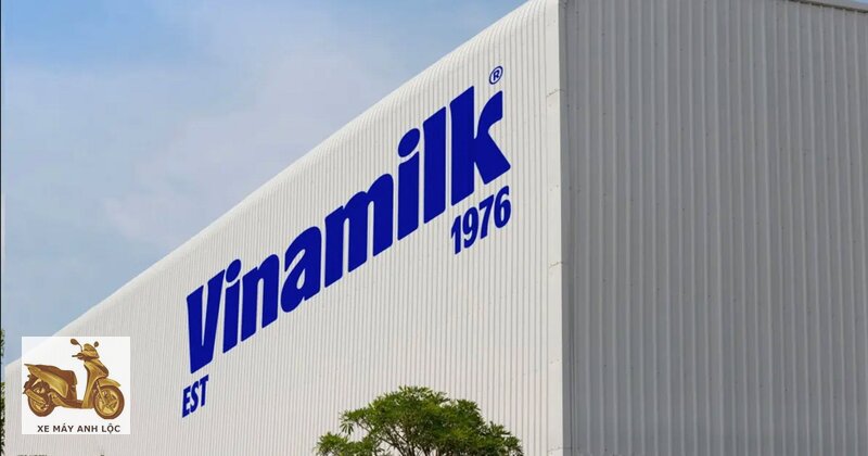 Vinamilk - Vinamilk và những gì người đi mua sữa thực sự cần biết Vinamilk - Vinamilk và những gì người đi mua sữa thực sự cần biết