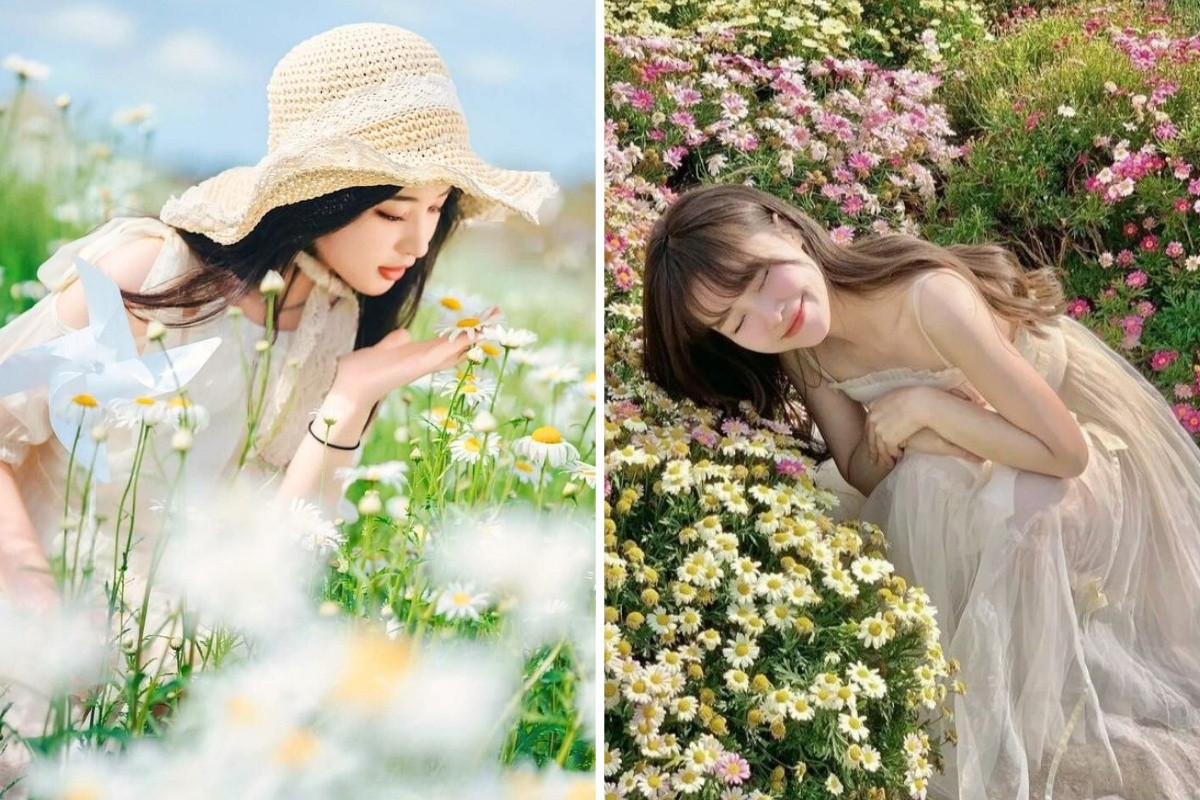 Lịch mùa hoa Việt Nam và bí quyết chụp ảnh với hoa đẹp như tranh
